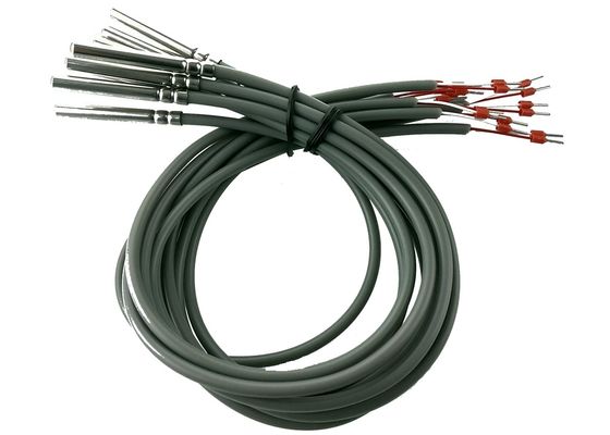 Sensor de temperatura da resistência da platina da classe B PT100 da RTD micro um comprimento de 2 medidores com 6x50mm 304 de aço inoxidável que abrigam