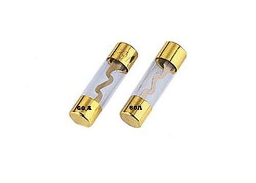Elemento estereofônico da forma do amplificador audio S do veículo do carro fusível de vidro 10-80A 32VDC do tubo AGU 10x38mm do auto auto com o ouro chapeado